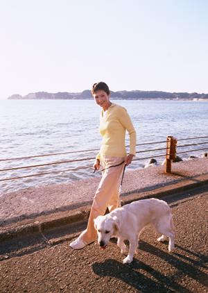 年中無休で診察受け付けの動物病院