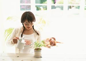 横浜でニーズに対応する印刷会社