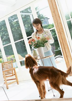 大切な家族のために加入しようペット保険