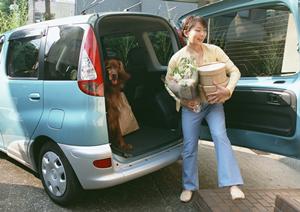 かわいいアイテムを紹介しています